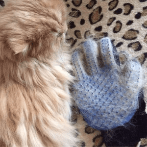 FUR REMOVER GLOVE(1 PCS)