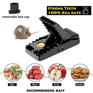 RAT TRAP