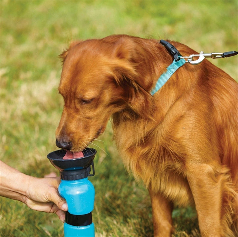 DOG MUG