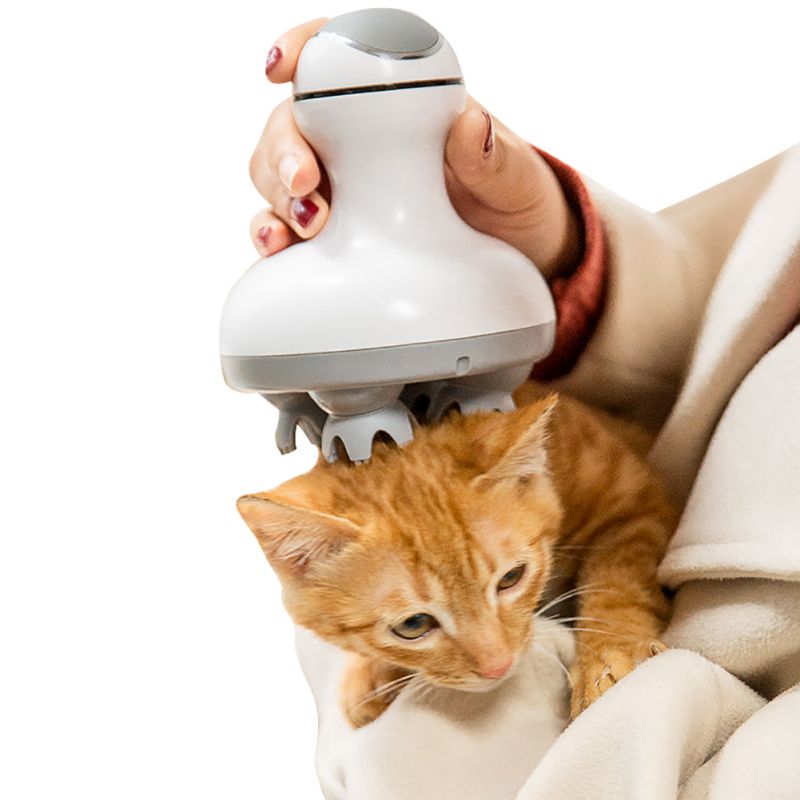 A MASSAGER THAT MAKES DOGS AND CATS HAPPY.