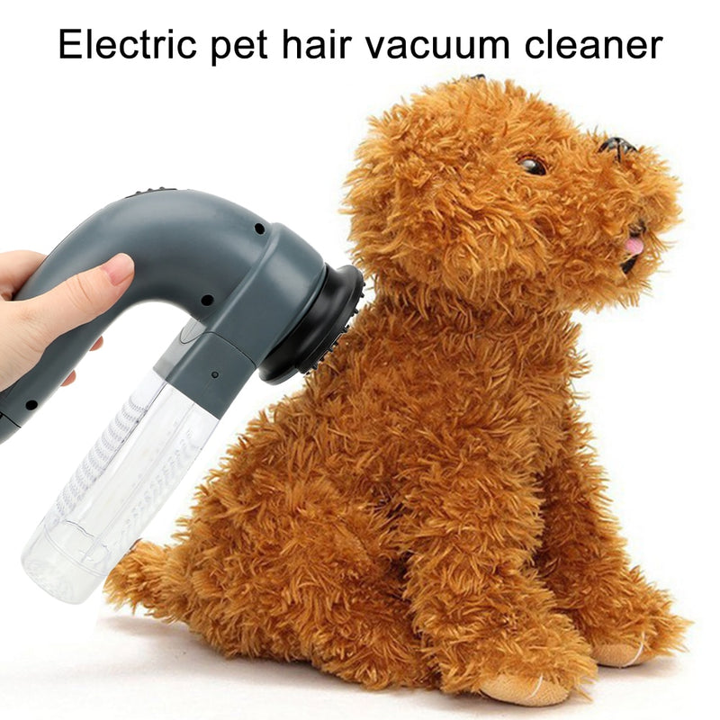 PET HAIR REMOVER BRUSH