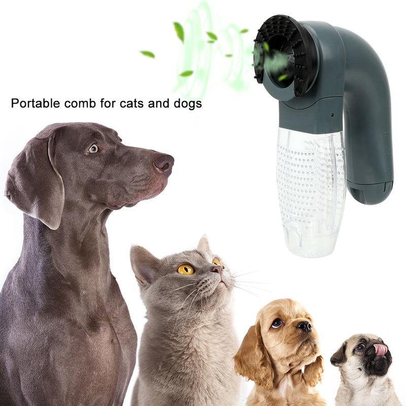 PET HAIR REMOVER BRUSH