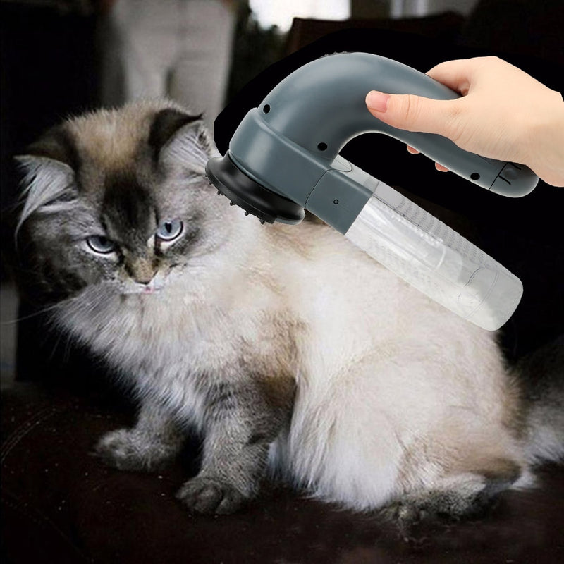 PET HAIR REMOVER BRUSH