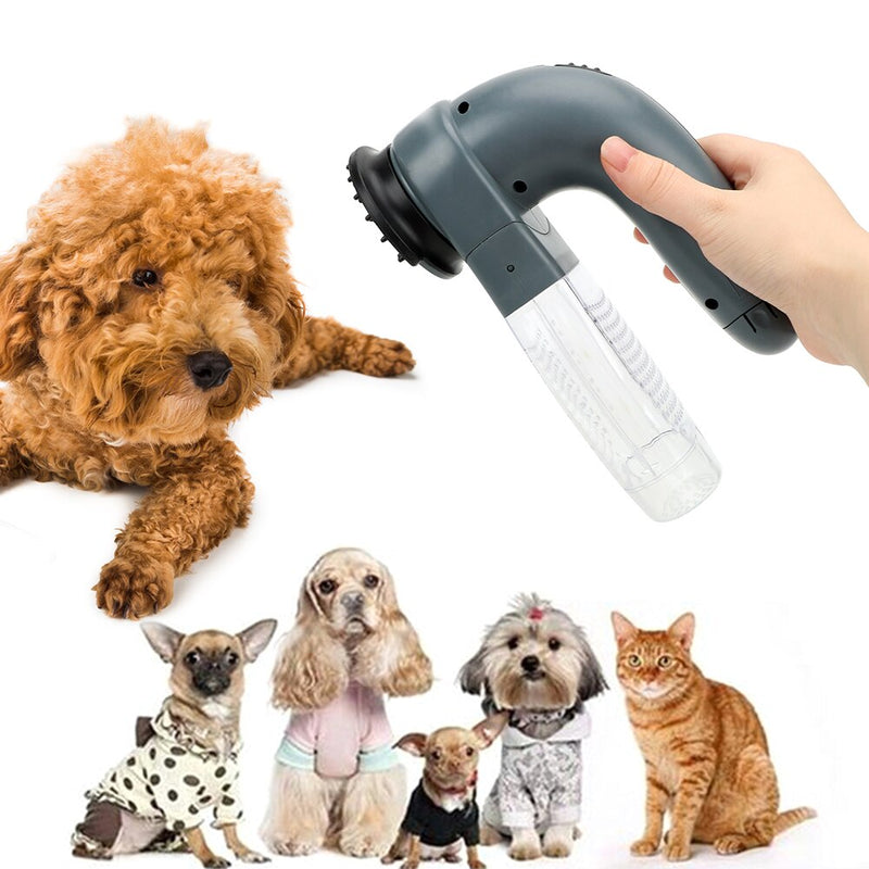 PET HAIR REMOVER BRUSH