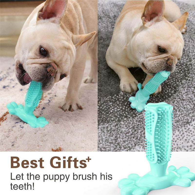 DOGTOOTH CLEANING TOY