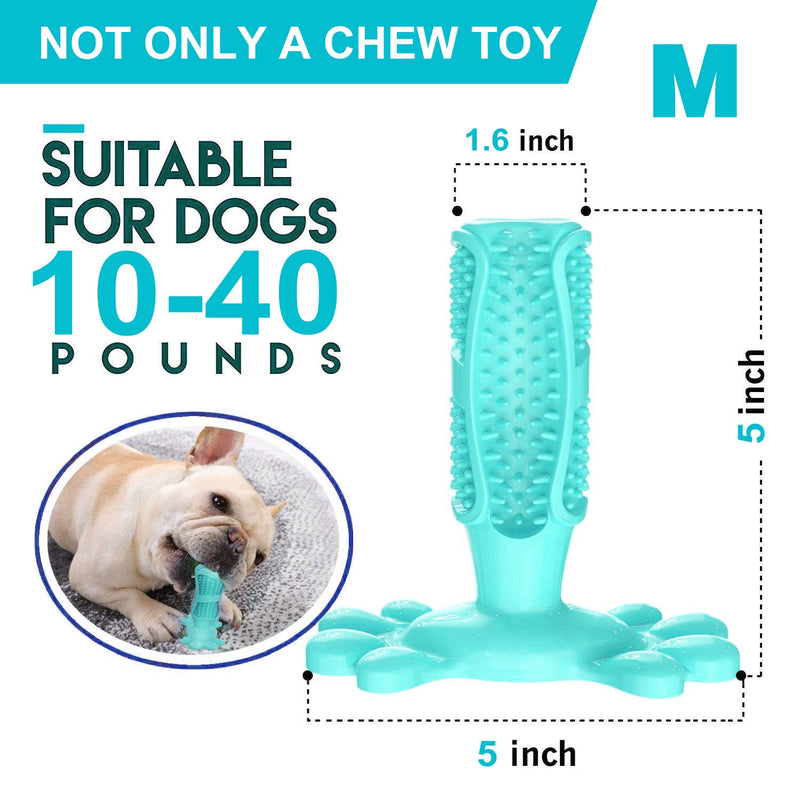 DOGTOOTH CLEANING TOY