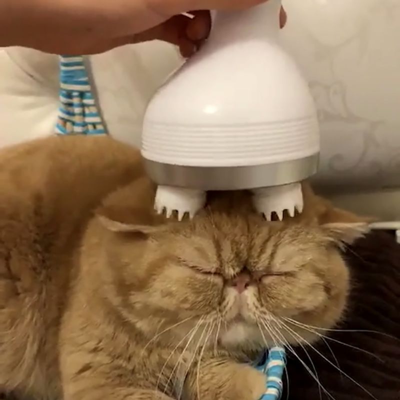 A MASSAGER THAT MAKES DOGS AND CATS HAPPY.